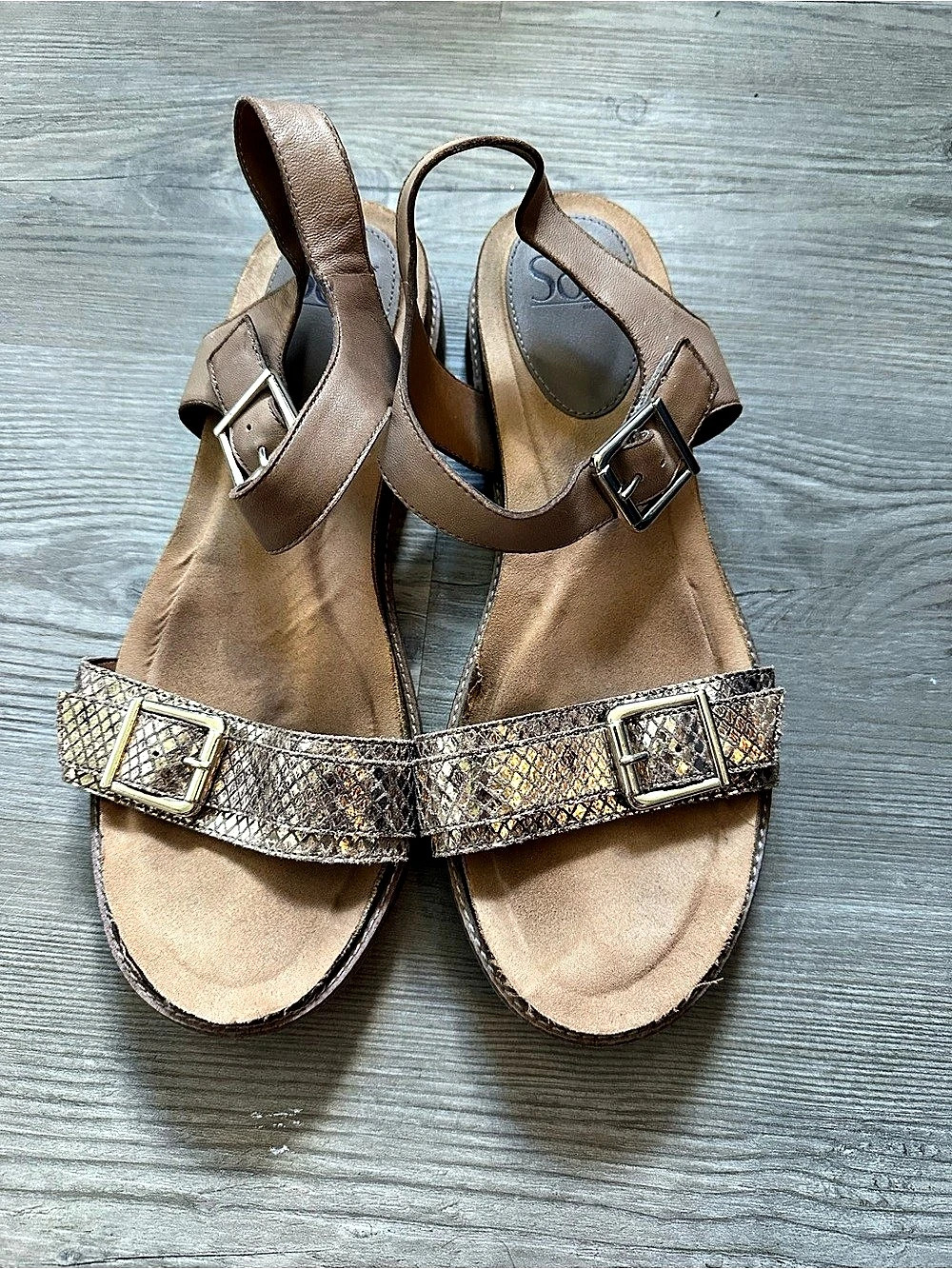 Softt Brown & Gold Buckle Sandals